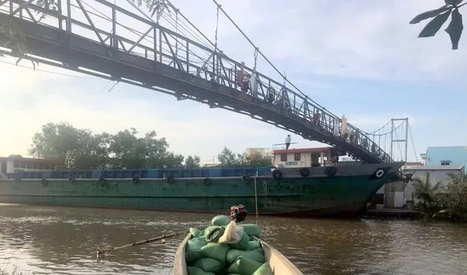 &#8220;Cây vàng xanh&#8221; trồng thành công ở 1 xã của tỉnh Phú Thọ (mới) thực ra là giống chuối gì?