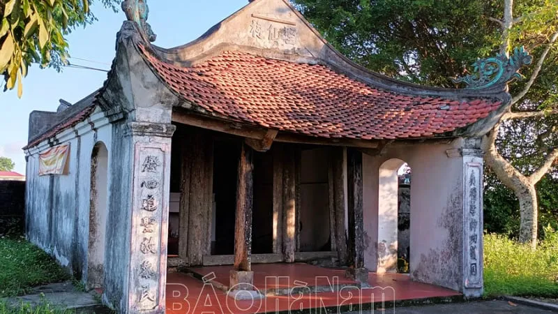 &#8220;Cây vàng xanh&#8221; trồng thành công ở 1 xã của tỉnh Phú Thọ (mới) thực ra là giống chuối gì?