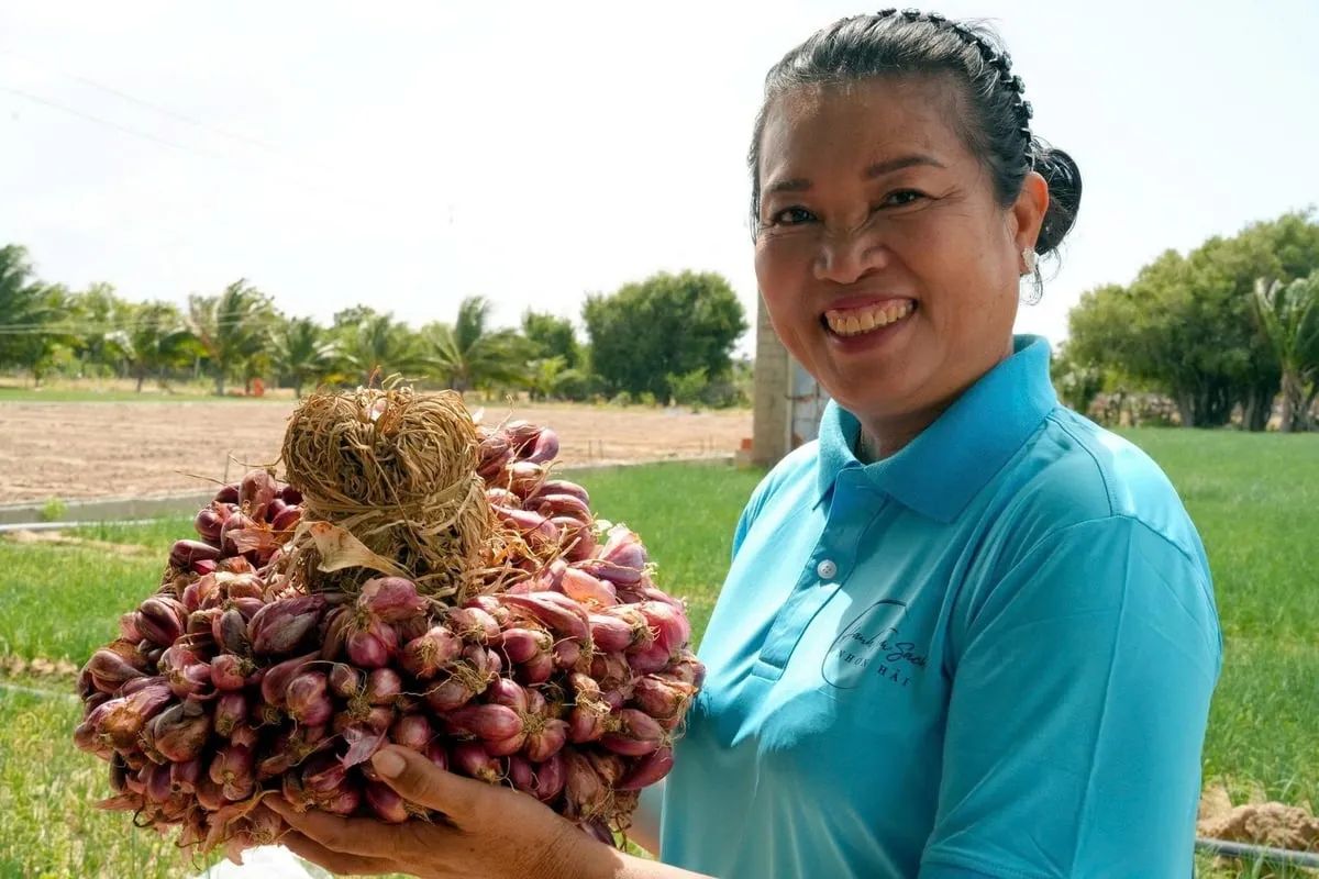 Người đầu tiên đưa hành tím Ninh Thuận xuất ngoại